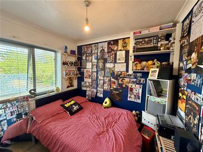 Picture 13